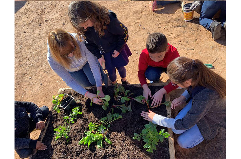 elementary learning garden