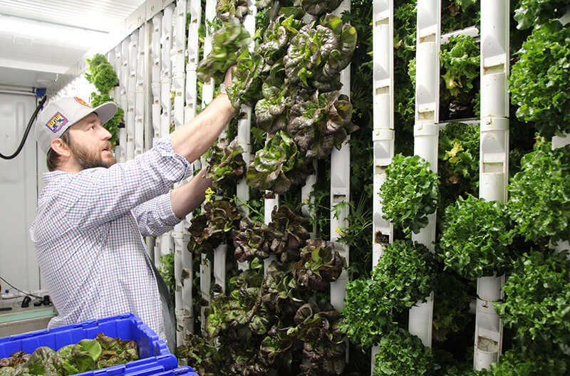 FarmBox containers