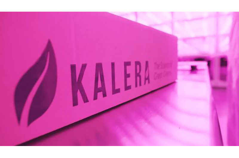 kalera