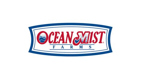 Ocean Mist