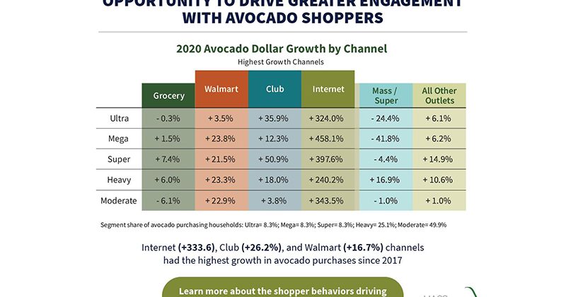 avocado