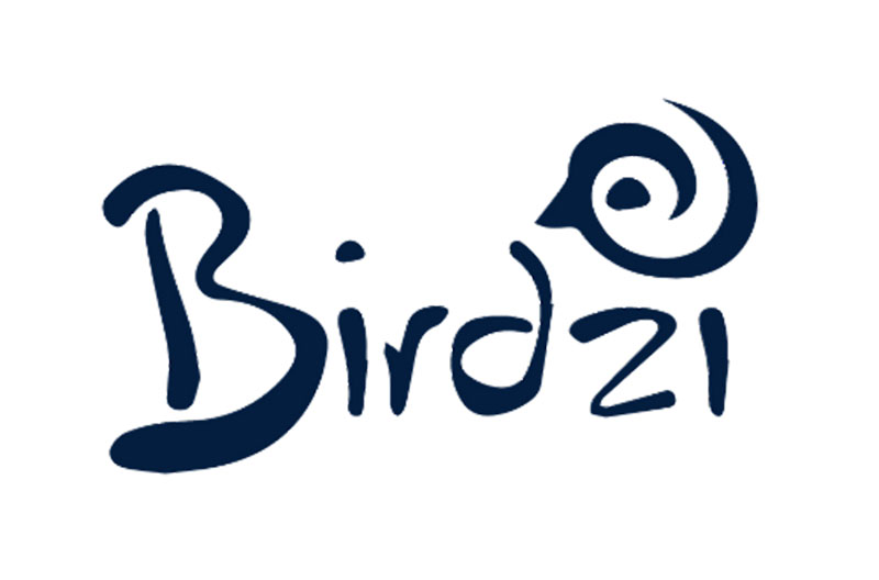 Birdzi