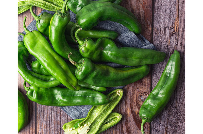 Hatch Chile pepper