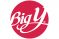 Big Y Foods logo