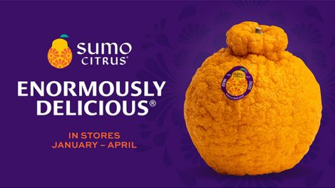 Sumo Citrus