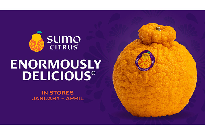 Sumo Citrus