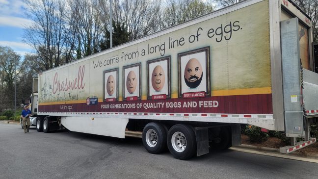 Braswell eggs