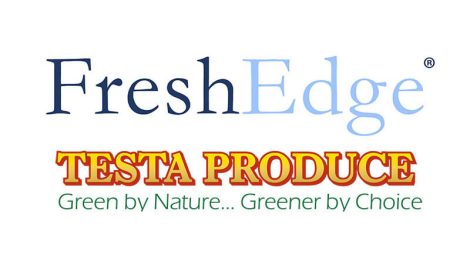 FreshEdge Testa