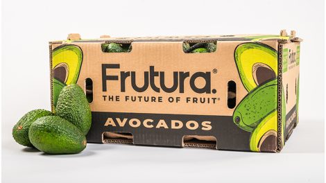 Futura avocados