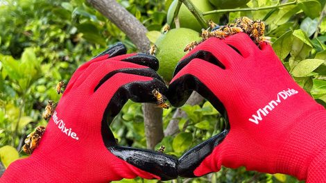 Southeastern Grocers pollinators