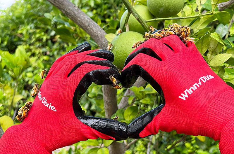 Southeastern Grocers pollinators