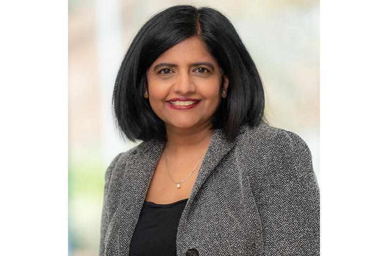 Anjana Harve, EVP and CIO of BJ's Wholesale Club