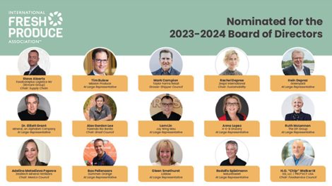 IFPA 2024 board of directors