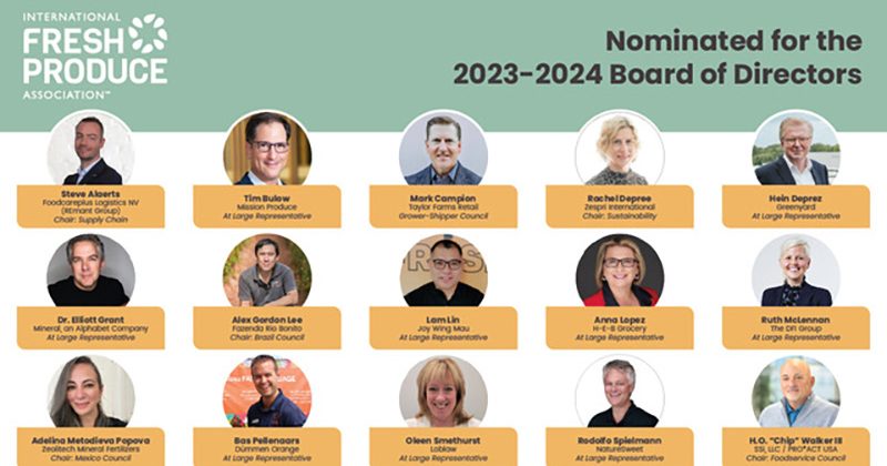 IFPA 2024 board of directors