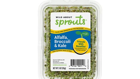 Wild About Sprouts alfalfa broccoli kale product