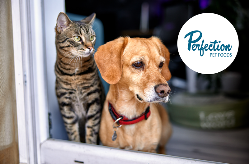 Post Holdings to acquire Perfection Pet