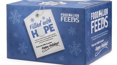 Food Lion food banks