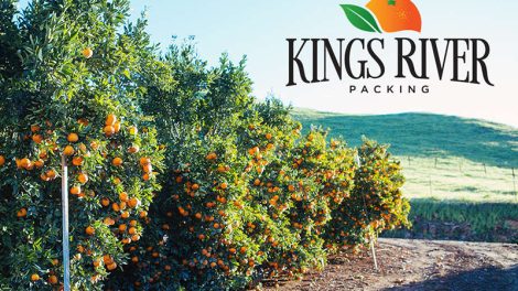 Kings River Packing logo