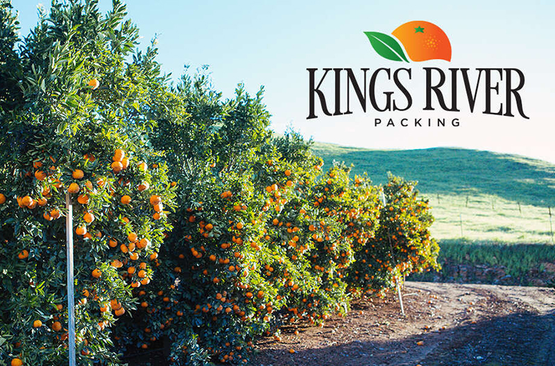 Kings River Packing logo