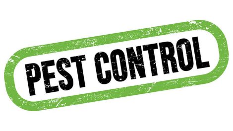 pest control graphic