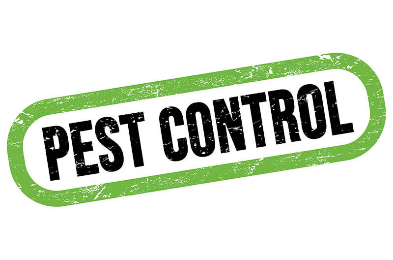 pest control graphic