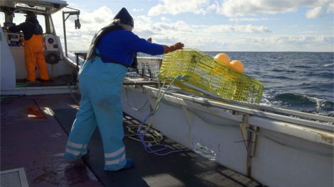 Image of fisherman dropping gear over side of boat