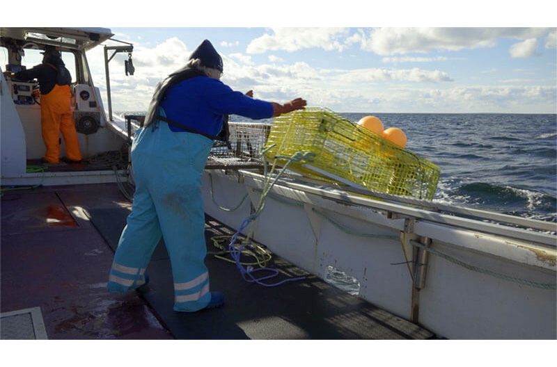 Image of fisherman dropping gear over side of boat