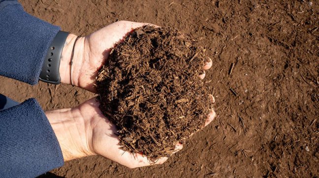 image of hands holding compost made from food waste