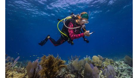 Publix coral reef restoration