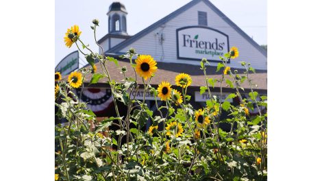 image of Friends' Marketplace exterior with sunflowers in foreground