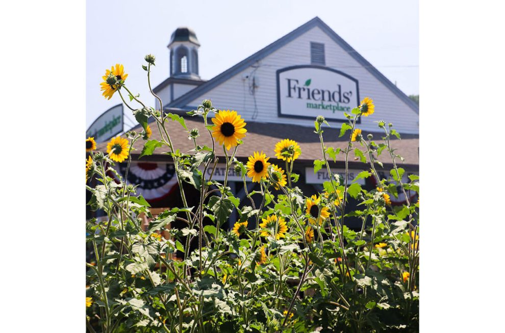 image of Friends' Marketplace exterior with sunflowers in foreground