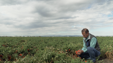 Natural Grocers field to can film series