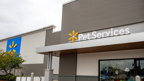 Walmart pet services care