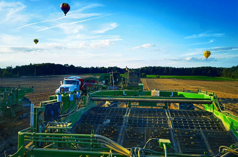 Ahold Delhaize USA Campbell's potato farm