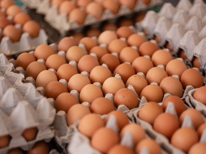 Egg Producers Agree To Settle DOJ Price-Fixing Claims