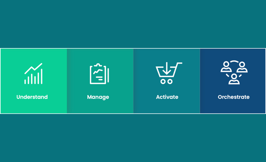 Birdzi data and promotions