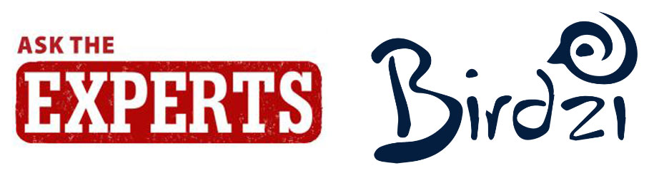 ATE Birdzi logos combined