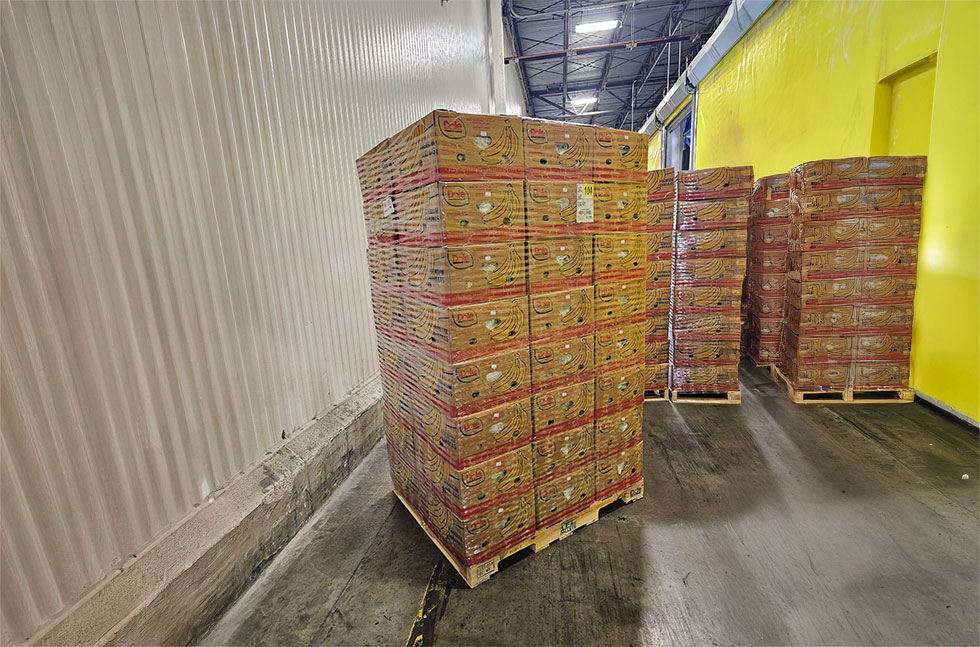 Dole expands its plastic waste reduction in its banana and pineapple operations.