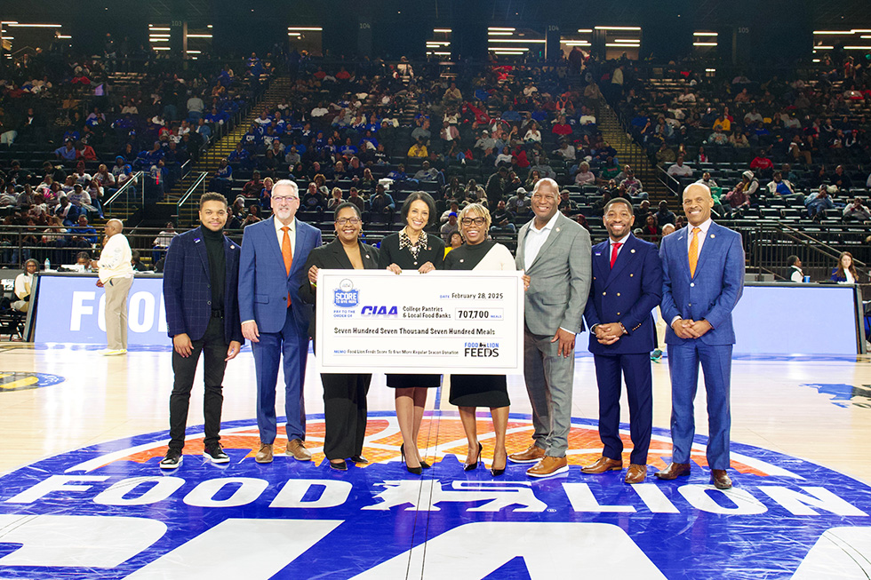 Food Lion Score to Give More check presentation