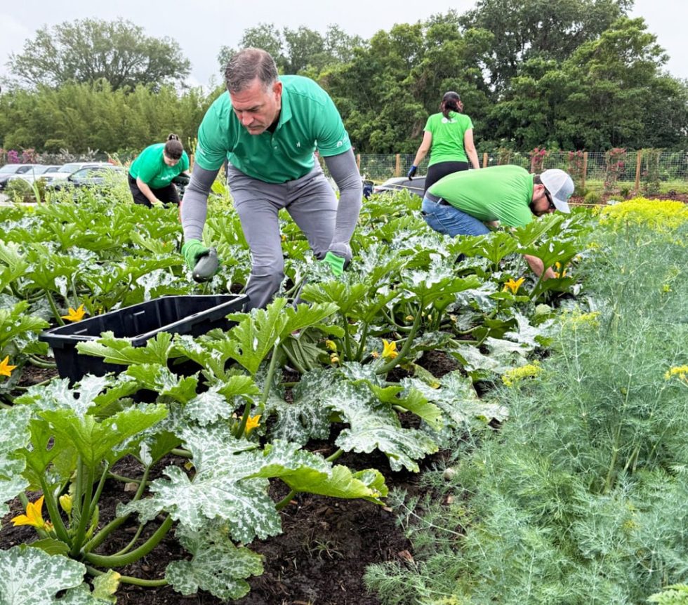 Publix CEO Kevin Murphy joined associates to help with conservation efforts at 4Roots Farm Campus in Orlando, Fla., during Publix Serves Week.