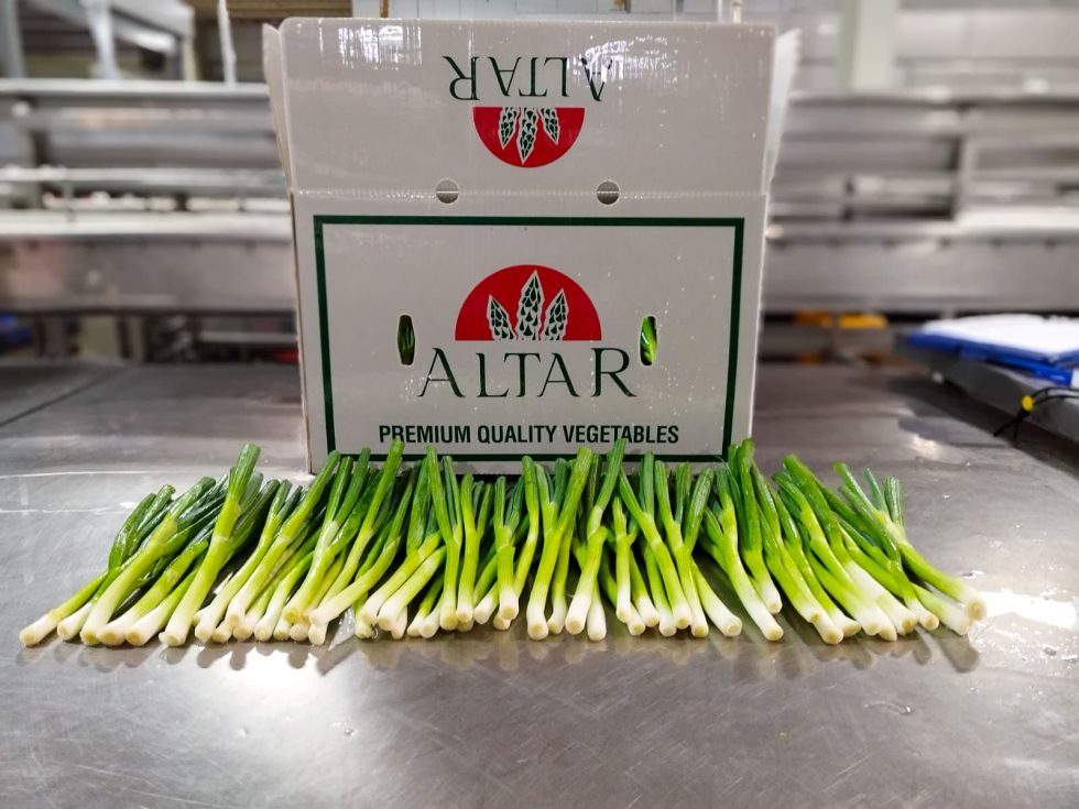 Altar Produce Green Onion LinkedIn