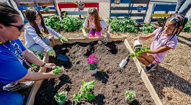 The Raley’s Cos., Captain Planet Foundation Award Learning Gardens