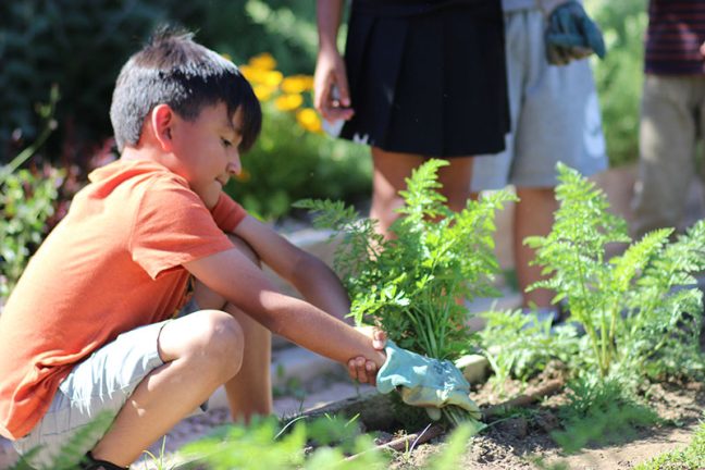 image of little boy digging in garden