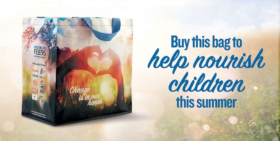 Food Lion's Summer Without Hunger campaign