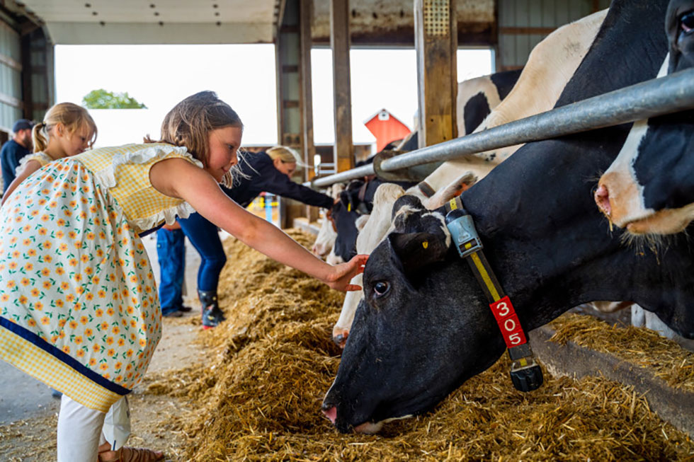 Wisconsin is celebrating June Dairy Month