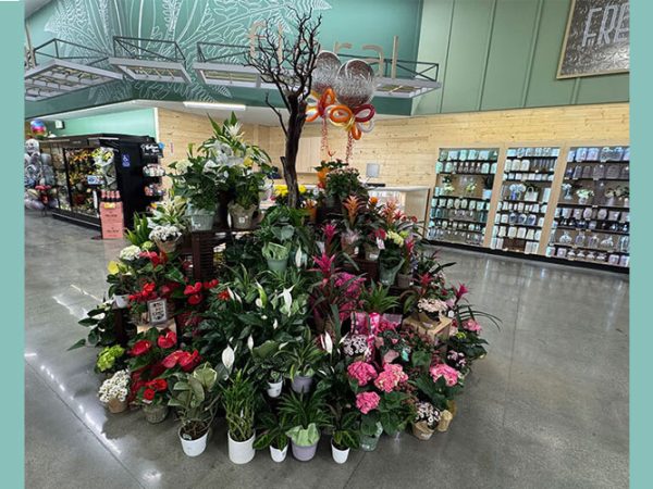 Former Vons Revamped As Pavilions In Mission Hills Neighborhood