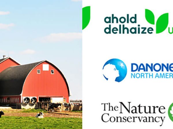 Ahold Delhaize, Danone Partner On Dairy Sustainability Pilot