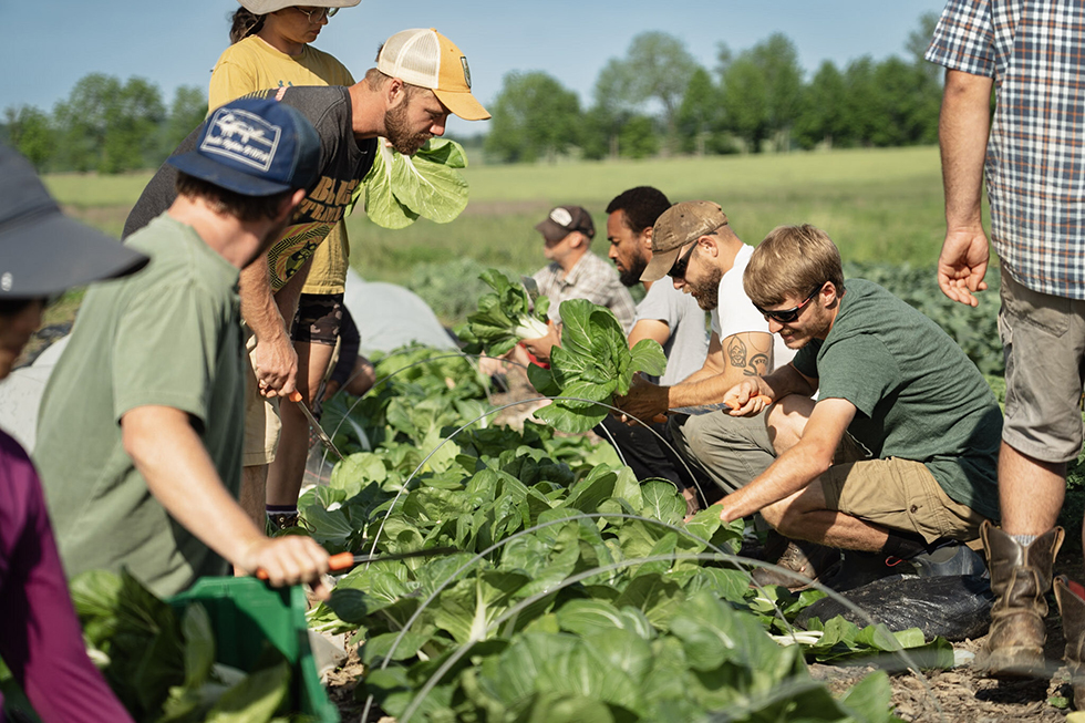 Natural Grocers Organic Month Fundraiser