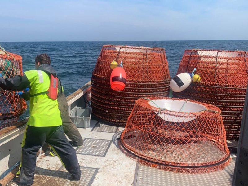 Publix Marks Donation Milestone With Sustainable Fisheries Partnership