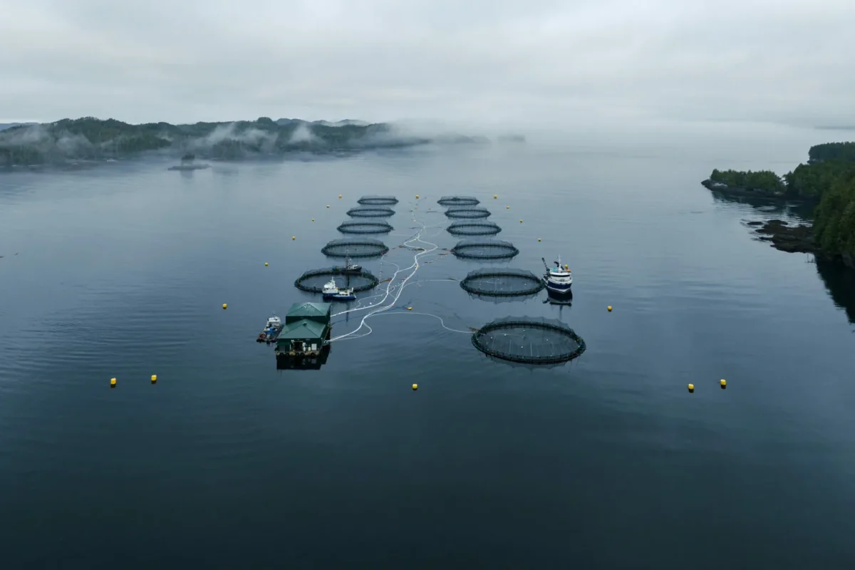 Salmon Farm Drone Photo Mowi Farm